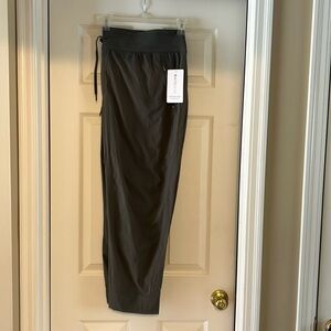 Athleta Trekkie North Jogger nwot size 26/3X